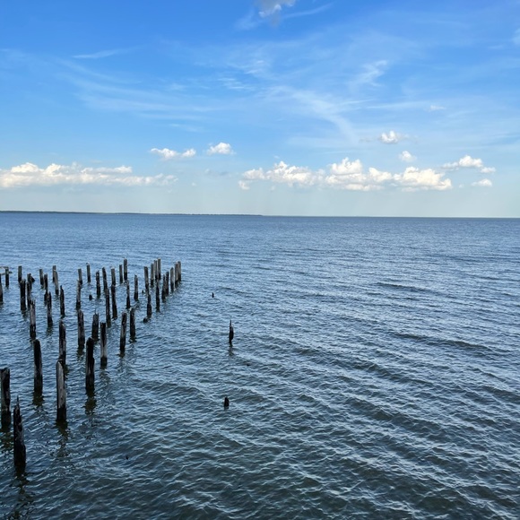 Meet your Posher, Andrew - Picture 1 of 1